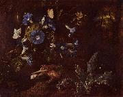SCHRIECK, Otto Marseus van Blaue Winde Kroe und Insekten oil painting on canvas